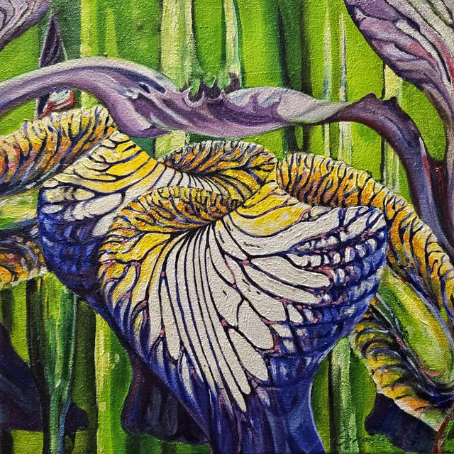 "Iris" | 12" x 12" | Original Oil Painting of Iris Petals by Teresa Grasby